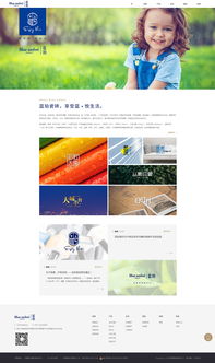 專注數字未來 佛山市火龍科技——您的網站設計、軟件開發與移動互聯網一體化解決方案專家